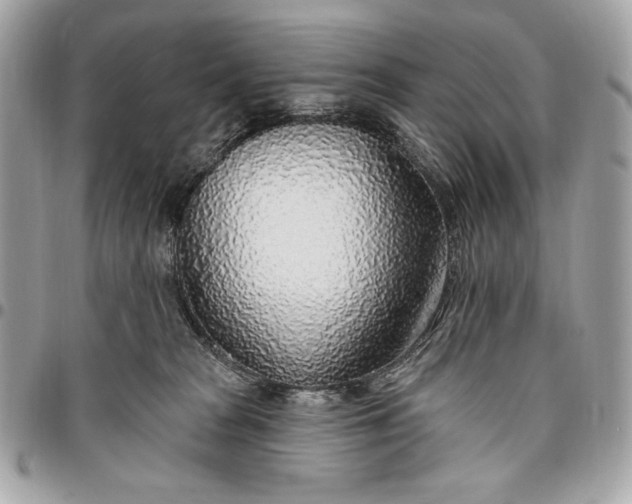X0000096430277200802071732