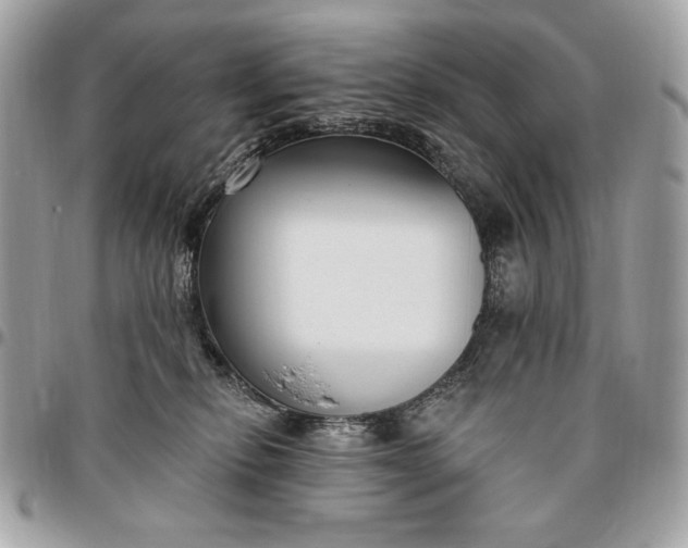 X0000096430278200802071732
