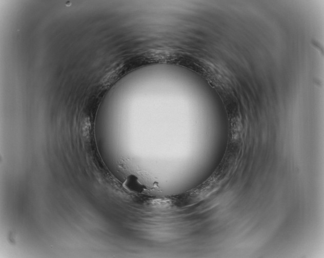 X0000096430279200802071732