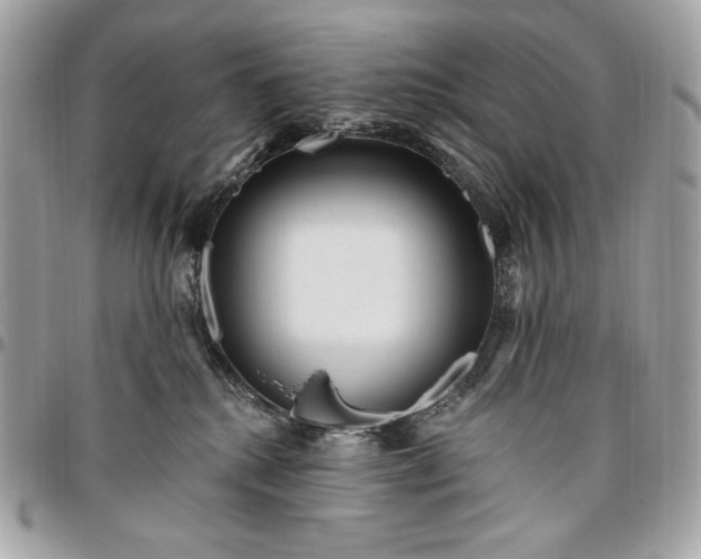 X0000096430280200802071732