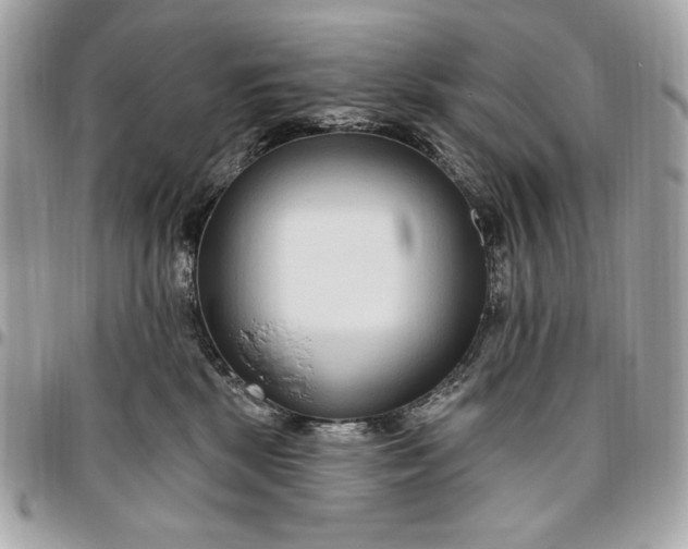 X0000096430281200802071732