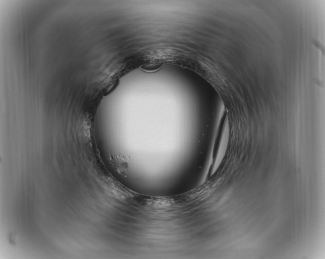 X0000096430282200802071732