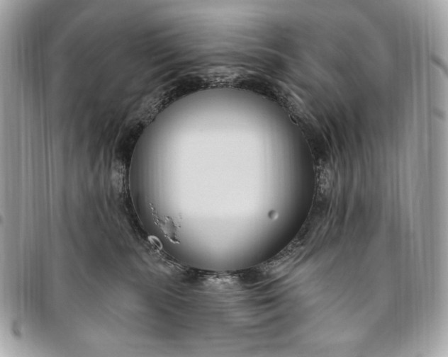 X0000096430283200802071732