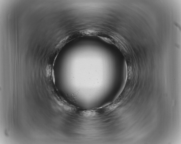 X0000096430284200802071732