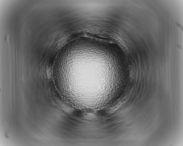 X0000096430285200802071732