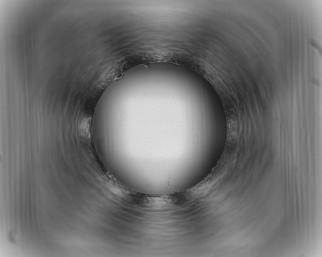 X0000096430286200802071732