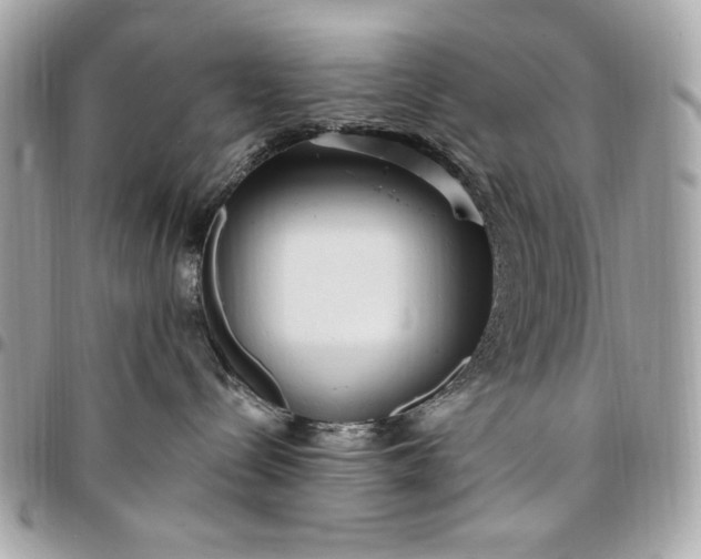 X0000096430288200802071732