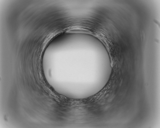 X0000096430289200802071732