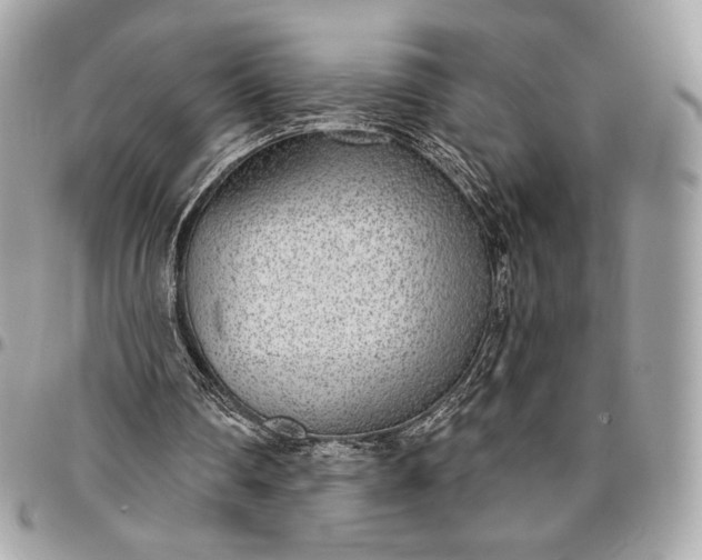 X0000096430290200802071732