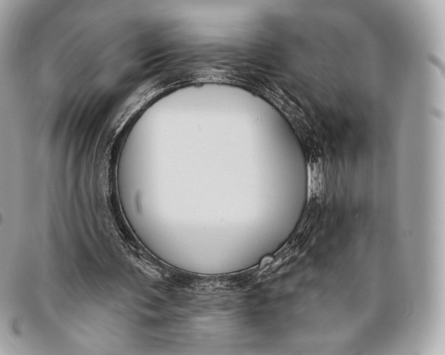 X0000096430291200802071732