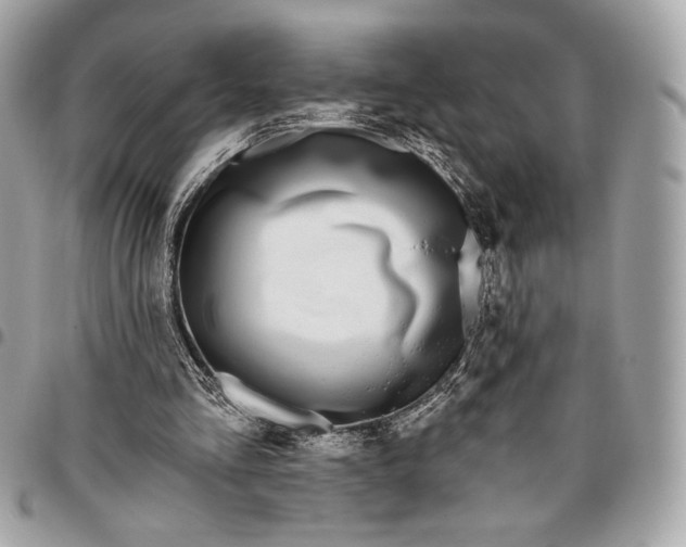 X0000096430293200802071732