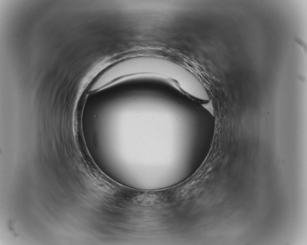 X0000096430294200802071732