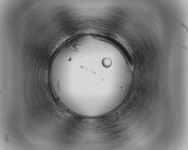 X0000096430297200802071732