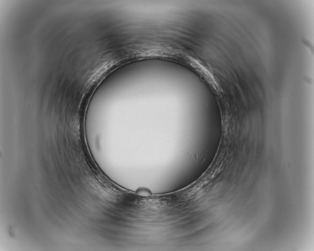 X0000096430298200802071732