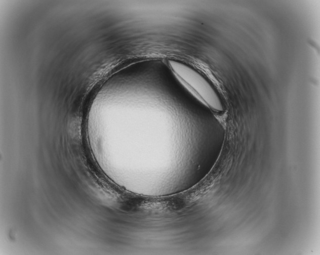 X0000096430299200802071732