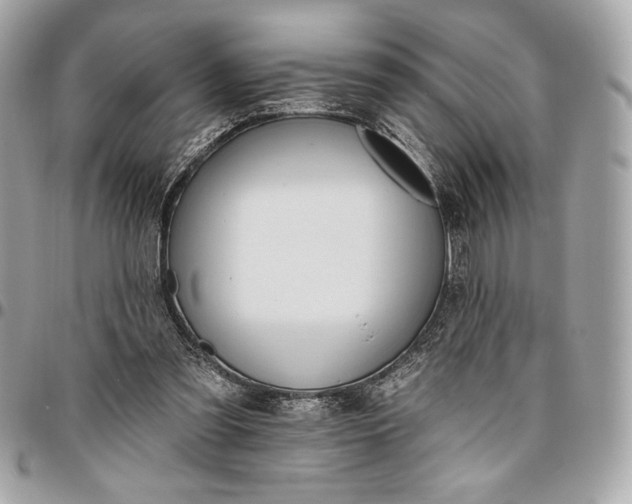X0000096430301200802071731