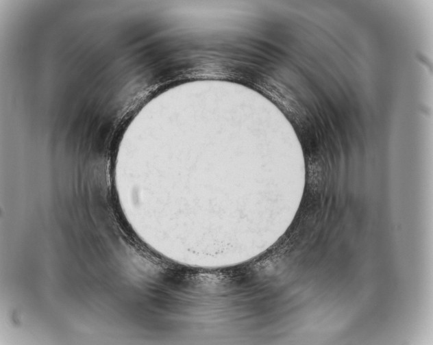 X0000096430302200802071731