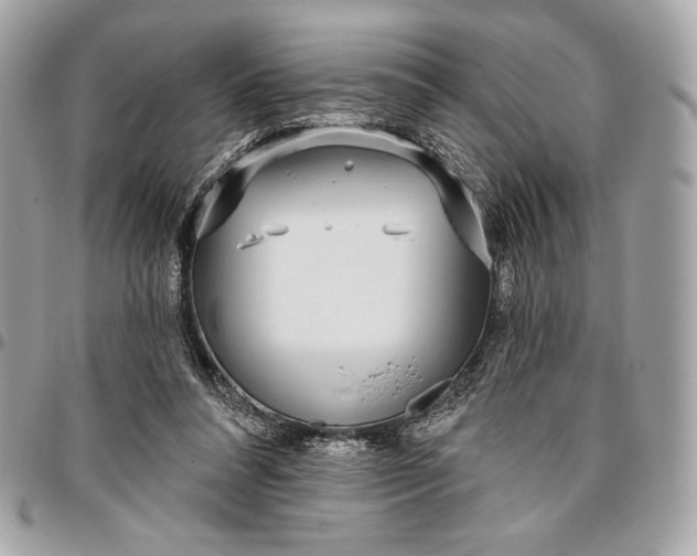 X0000096430304200802071731