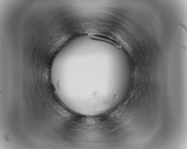 X0000096430305200802071731