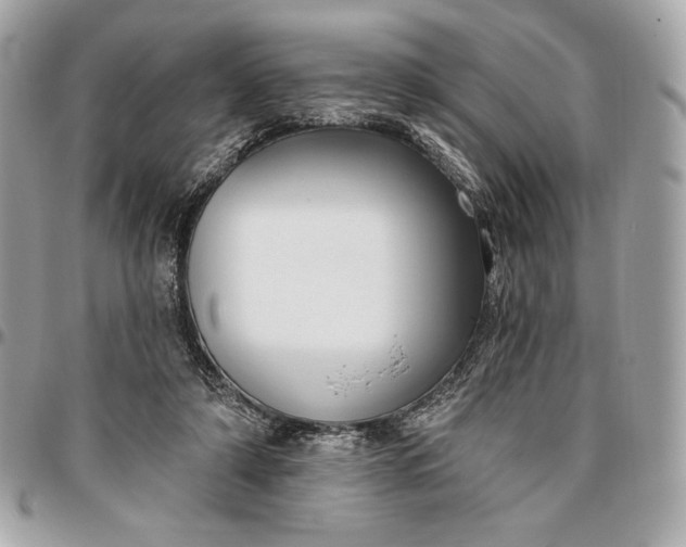 X0000096430306200802071731
