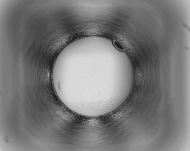 X0000096430310200802071731