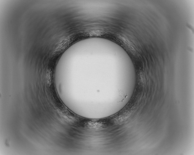 X0000096430311200802071731
