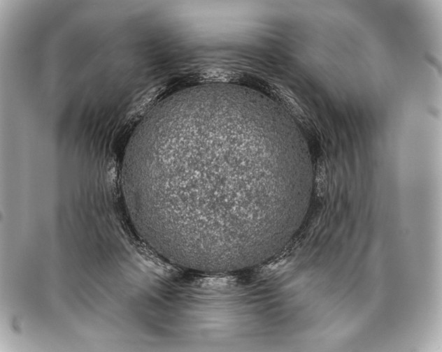 X0000096430314200802071731