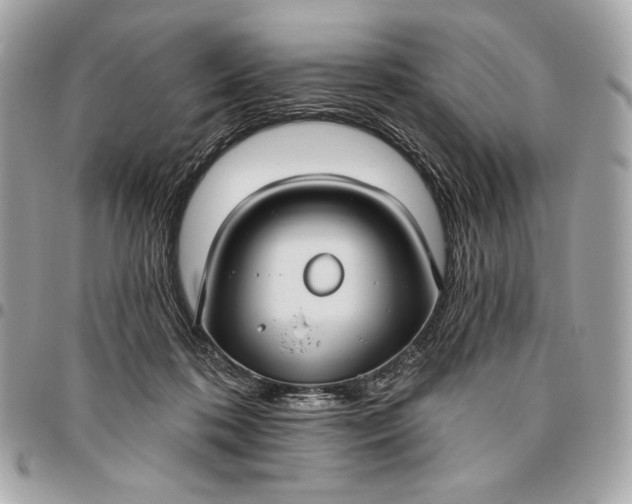 X0000096430316200802071731