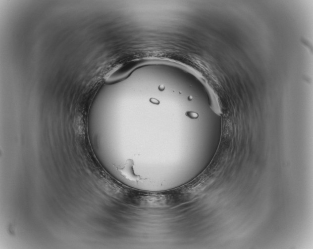 X0000096430317200802071731