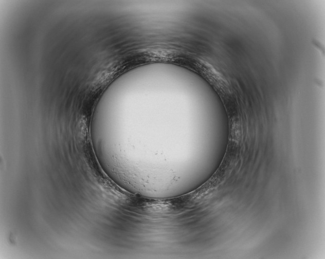 X0000096430318200802071731