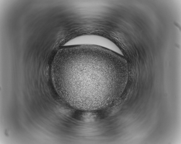 X0000096430319200802071731