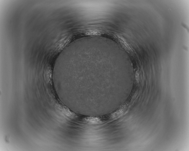 X0000096430322200802071731