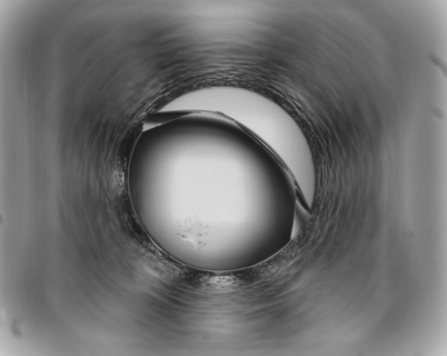 X0000096430324200802071731