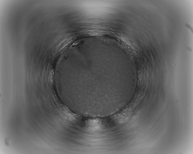 X0000096430325200802071731