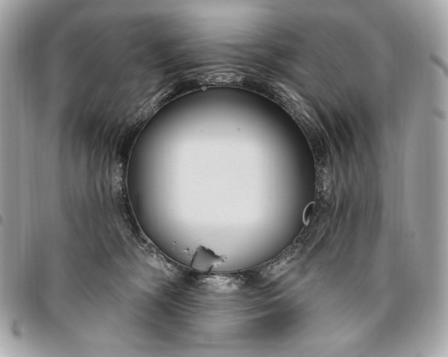 X0000096430326200802071731