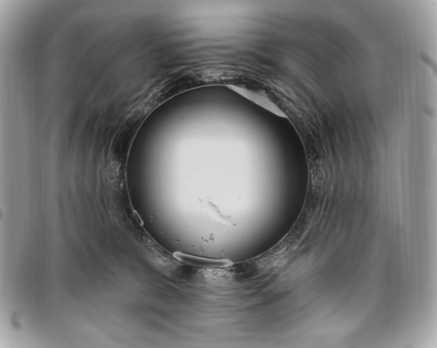 X0000096430327200802071731