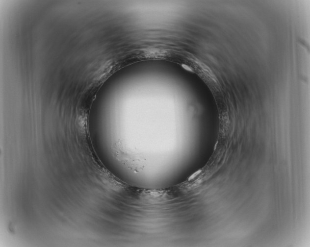X0000096430329200802071731