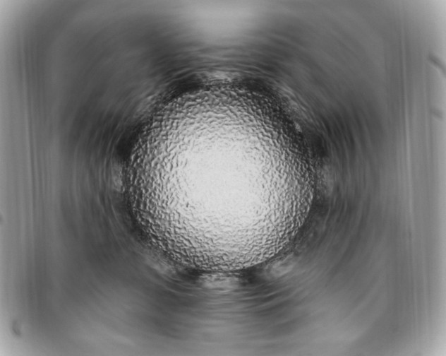 X0000096430331200802071731