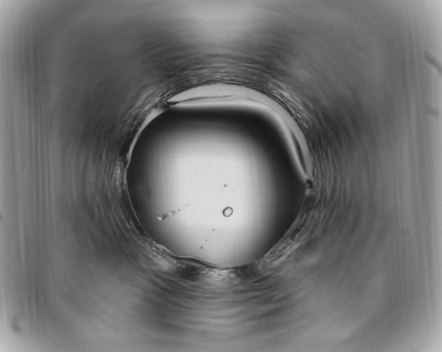X0000096430333200802071731