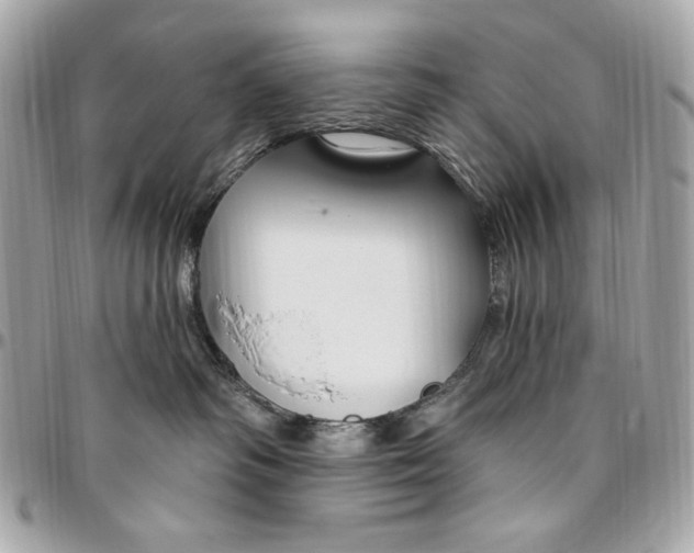 X0000096430334200802071731