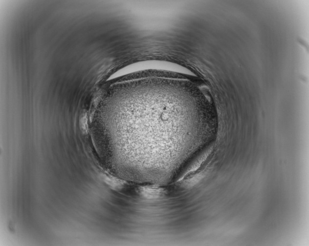 X0000096430336200802071731