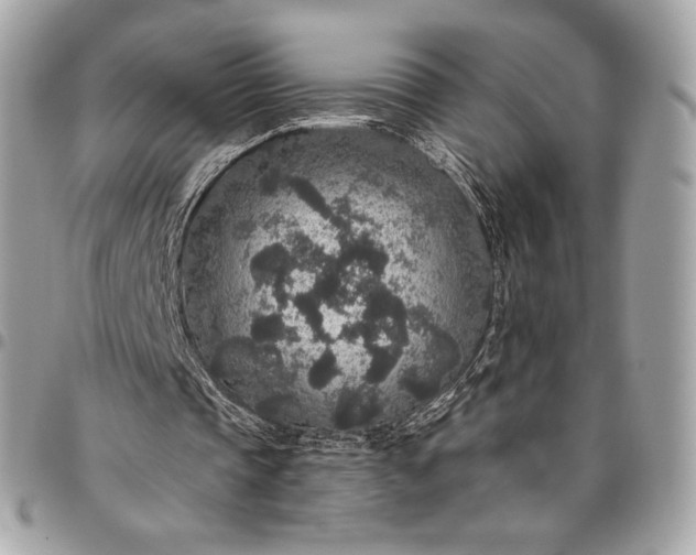 X0000096430337200802071730