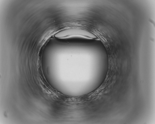 X0000096430338200802071730