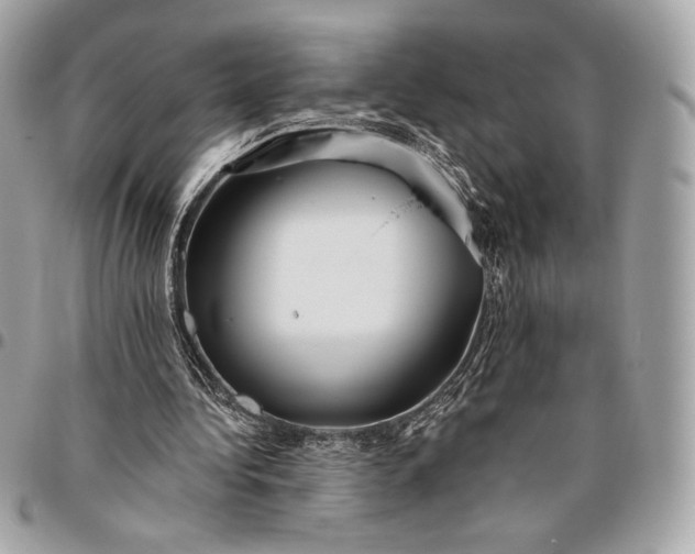 X0000096430340200802071730