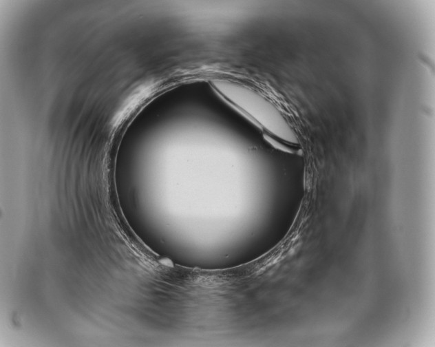 X0000096430341200802071730