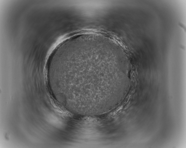 X0000096430343200802071730