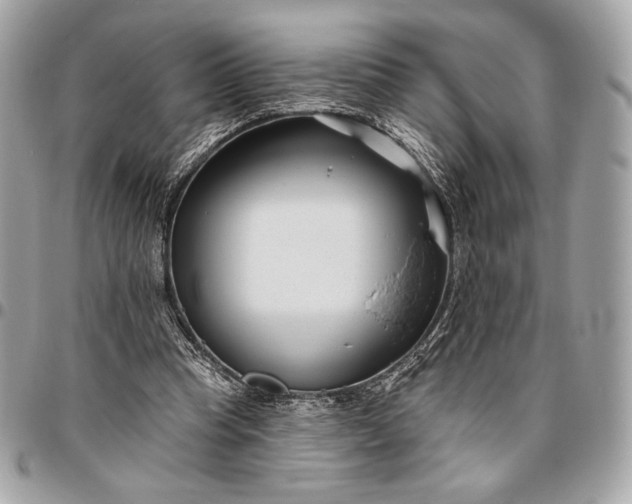 X0000096430345200802071730