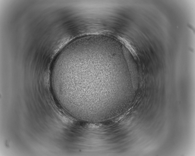 X0000096430346200802071730