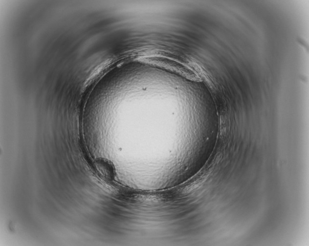X0000096430349200802071731