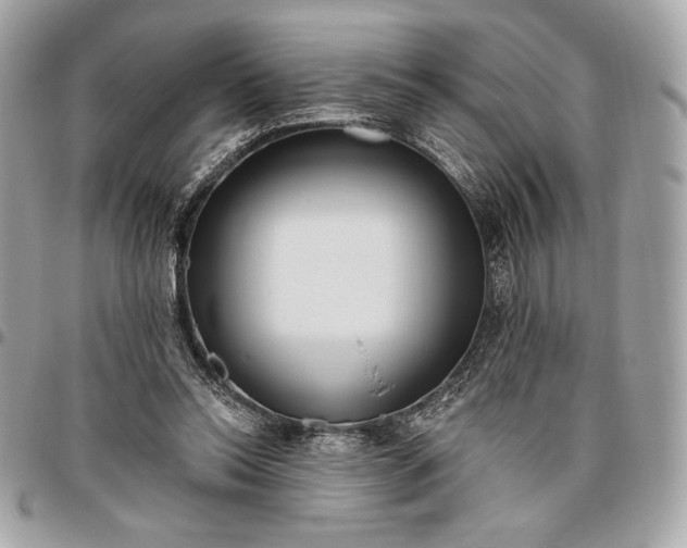 X0000096430350200802071731